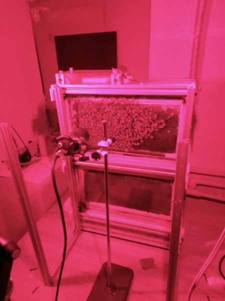 Identification and HRI